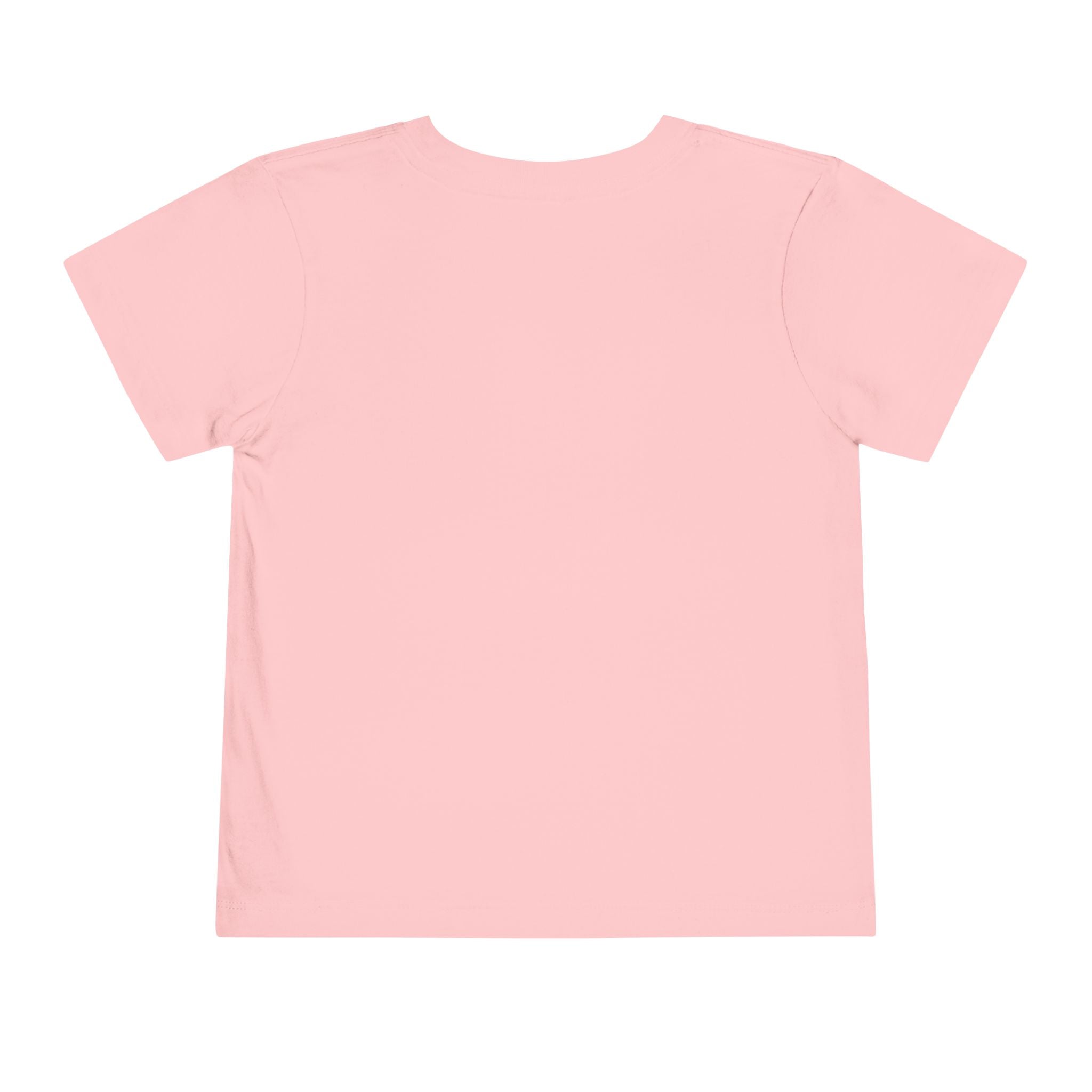 Quincy Kid Toddler T-shirt