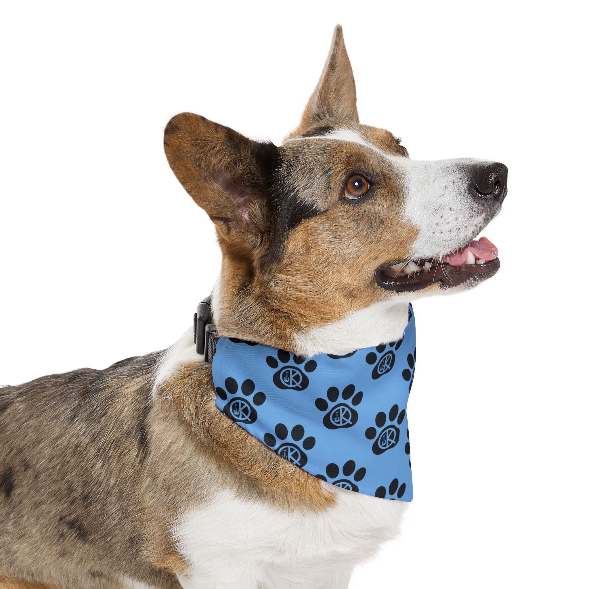 QK Pet Bandana Collar- Light Blue
