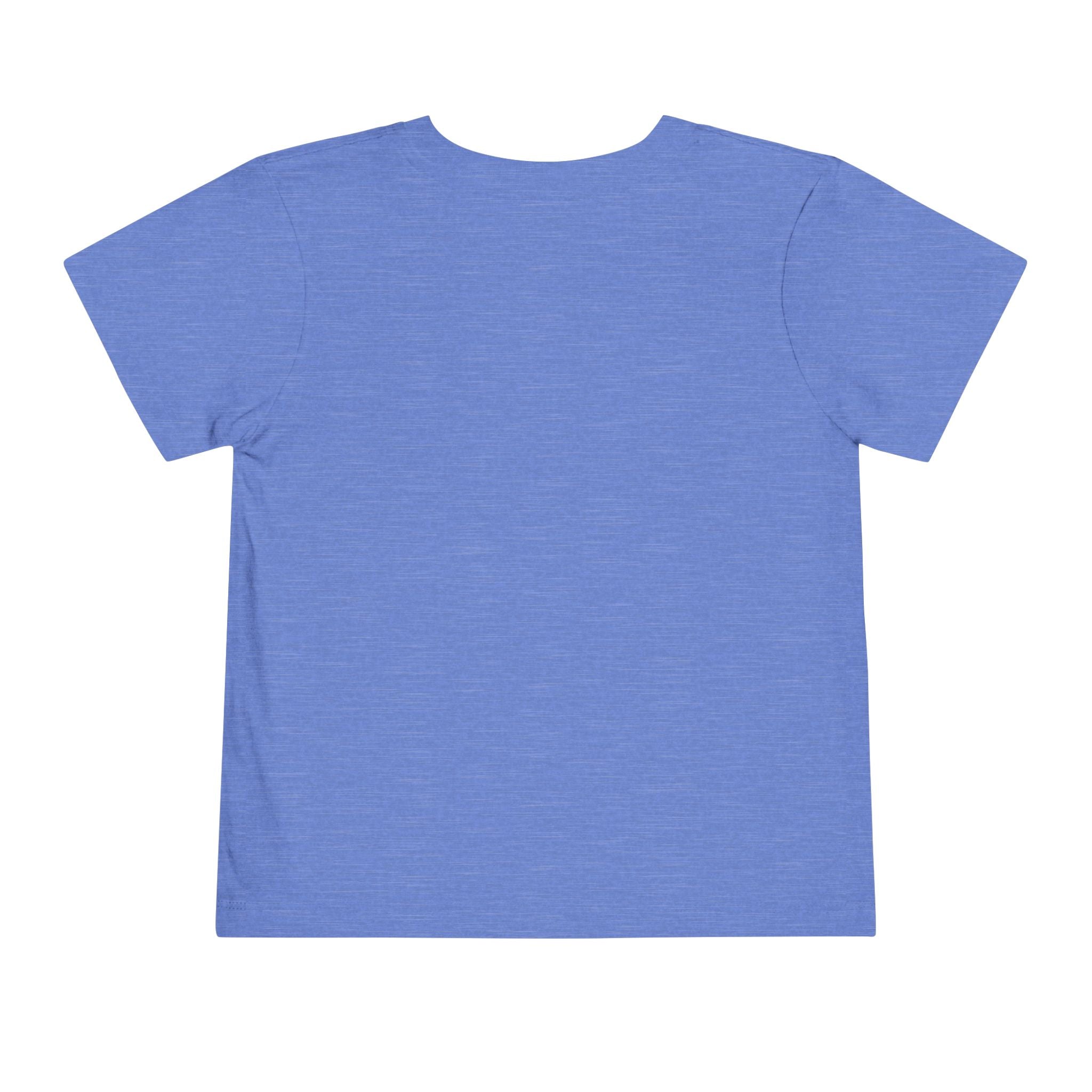 Quincy Kid Toddler T-shirt