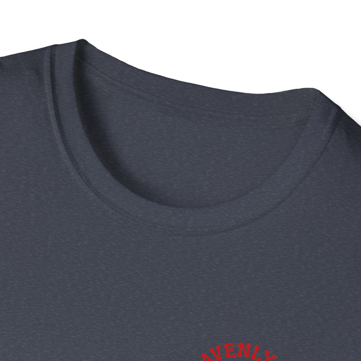 Distressed Heavenly Hill Ski Patrol T-shirt
