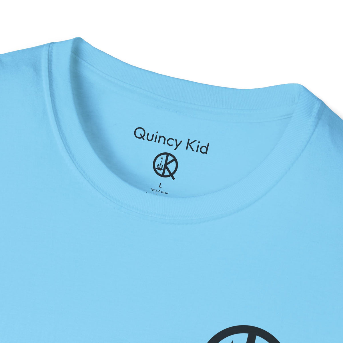 Quincy Point- Latitude and Longitude