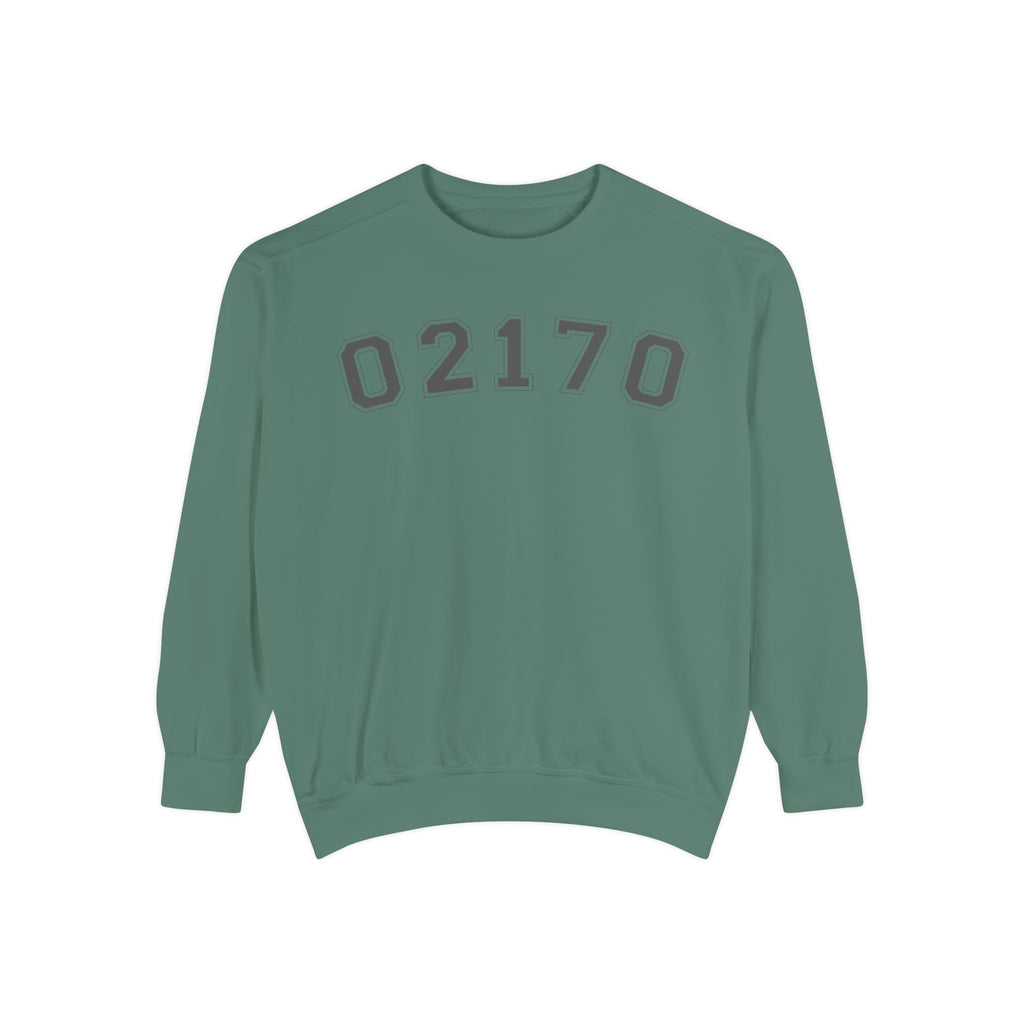 02170- Quincy Zip Code Sweatshirt Grey Text